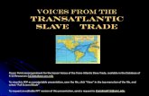 Voices from The Transatlantic Slave Trade · Trans-Atlantic Slave Trade lSpanish adventurers arrived in the following years, enslaving indigenous people to search for gold and silver.