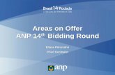 Areas on Offer ANP 14th Bidding Round · Unitizable Areas (Carcara, Gato do Mato, Sapinhoa and Tartaruga Verde) 3rd Production Sharing Bidding Round Peroba, Pau Brasil and Alto de