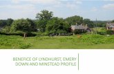BENEFICE OF LYNDHURST, EMERY DOWN AND MINSTEAD PROFILE · WHAT’S IT LIKE TO LIVE HERE 9 THE HOUSE 12 ROLE DESCRIPTION 14. WELCOME TO THE BENEFICE OF LYNDHURST, EMERY DOWN AND MINSTEAD