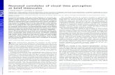 Neuronal correlates of visual time perception at brief ... · that visual time perception can vary on the order of tens to hundreds of milliseconds (7), even though stimulus-evoked