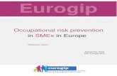 Occupational risk prevention in SMEs in Europe · 3 Occupational risk prevention in SMEs in Europe - September 2009 ///// ref. Eurogip-44/E Introduction Small and medium-sized enterprises