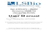User Manual (Sandwich ELISA ) Receptor ELISA Kit Rat ... · MRXE, XMRE Specificity : This kit is for the detection of Rat ATP6AP2 / Renin Receptor. No significant cross-reactivity