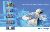 Pressure & Flame Protection · 2 SAFETY RELIEF VALVES Bailey safety relief valves offer a broad spectrum of protection against over-pressure for vital services such as steam, air,