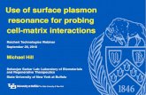 Use of surface plasmon resonance for probing cell-matrix ... Webi… · Use of surface plasmon resonance for probing cell-matrix interactions ‘-2 ... own surface field. Specific