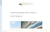 Targeting Angiogenesis in NSCLC David Heigener · 30.09.2016 7 Non-small-cell Lung Cancer Worldwide, lung cancer is the leading cause of cancer mortalityin males and the second -leading