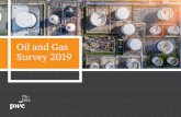 PwC Ireland Oil and Gas Survey 2019 · oil and gas sector over the next 2 years as fairly favourable and no respondents rating the outlook as extremely favourable. This is a decrease