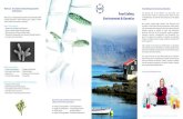Matís Ltd: Innovation in biotechnology and ... - old.matis.isold.matis.is/media/thjonusta/Enska_Oryggi_umhverfi_erfdir.pdf · matis@matis.is • Matís Ltd. is an independent Icelandic