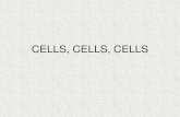 CELLS, CELLS, CELLS - Bardstown City Schools · Animal Cells • Animal cells organize the body. You have brain cells, stomach cells, bone cells, and many other types of cells. Each