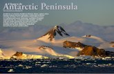 Antarctic Peninsula A Voyage to the - X-Ray Mag · In a quintessential snowy landscape, snowflakes of perfect shape fall over me, a moment of utter isolation. I am the only one awake