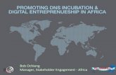 PROMOTING DNS INCUBATION & DIGITAL ENTREPRENUESHIP IN … · 2 One of the Key Messages coming out of ICANN Durban meeting was ICANN’s participation and support in promoting the
