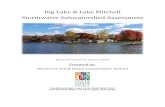 Big Lake & Lake Mitchell Stormwater Subwatershed …...Big Lake and Lake Mitchell are two of the most popular recreational lakes in Sherburne County. Their clear waters and sandy shorelines