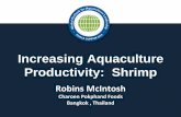 Increasing Aquaculture Productivity: Shrimp · Robins McIntosh has been involved in shrimp aquaculture for 30 years. In 1996, he helped establish Belize Aquaculture, the first zero‐water‐