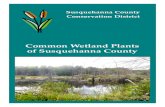 Common Wetland Plants of Susquehanna County · Susquehanna County . Conservation District . 31 Public Avenue . Montrose, PA 18801 . 570-278-4600 X280 . . Financial and other support