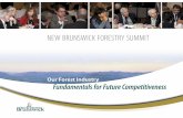 NEW BRUNSWICK FORESTRY SUMMIT · 2018. 9. 1. · hold a summit of forestry stakeholders in the fall of 2010 to address the critical issues facing our forest sector and begin the work