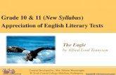 Grade 10 & 11 (New Syllabus - E-thaksalawa · 2015. 8. 28. · • Hyperbole (extreme exaggeration) “close to the sun” This device emphasizes this eagle is not a simple one. The