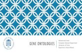Muhammad Uzair GENE ONTOLOGIES · Muhammad Uzair Computer Science Department University of Tartu Supervisor: Anna Ufliand. WHAT IS AN ONTOLOGY? There can be different forms but in