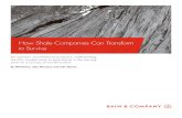 How Shale Companies Can Transform to Survive · 2018. 5. 30. · How Shale Companies Can Transform to Survive 1 The durability of North America’s exploration and production (E&P)