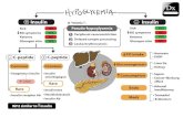 1.14 hypoglycemia final-01 · The Clinical Problem Solvers @ Insulin A "mimic": Pseudo-hypoglycemia Peripheral vasoconstriction Delayed sample processing Leuko/erythrocytosis O Insulin