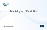 Disability and Flexibilityfitforflexi.cz/downloads/prezentace/12_KatarinaLil... · THANK YOU ALL! Graciela Bilhöfer Maksinen +46(0)322-600516 graciela.bilhofer-maskinen@vargarda.se