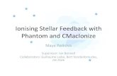 Ionising Stellar Feedback with Phantom and CMacIonize · Maya Petkova Supervisor: Ian Bonnell Collaborators: Guillaume Laibe, Bert Vandenbroucke, Jim Dale SPH and MCRT Hierarchical