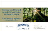 Chippewas of Nawash Unceded First Nation Coldwater Trust ... · Chippewas of Nawash Unceded First Nation Coldwater Trust Community Update as at December 31, 2016 Ismo Heikkila National