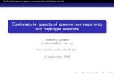 Combinatorial aspects of genome rearrangements …...Combinatorial aspects of genome rearrangements and haplotype networks Introduction Quelques d e nitions Acide d esoxyribonucl eique