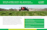 Using Adjuvants to Improve Crop Protection Performance · 2020. 4. 25. · Crop Protection Performance From the introduction of 2,4-D, the first modern herbicide in the early 1940s,