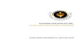 GUYANA GOLDFIELDS INC. · 2020. 5. 7. · respects, the financial position of Guyana Goldfields Inc. and its subsidiaries (together, the Company) as at December 31, 2019 and 2018,