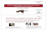 Markus Riegler National Fruit Fly Symposium 2018 ......INVERTEBRATE MICROBIOLOGY The Microbiome of Field-Caught and Laboratory-Adapted Australian Tephritid Fruit Fly Species with Different