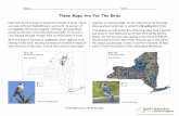 These Maps Are For the Birds - Student Section · people who admired its beauty. Now it is spreading and competing with native birds for food and territory. C. This bird nests in