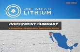 LOCATION - One World Lithium€¦ · G & A (Including listing on OTC:QB) $450,000 Investor relations $150,000 Fees $200,000 Working Capital $450,000 Total $ 4,000,000 18 Salar del