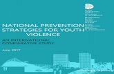 National Prevention Strategies for Youth Violence.€¦ · NEISS-AIP: National Electronic Injury Surveillance System-All Injury Program NSO: National Statistics Office NVDRS: National