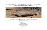 Ecology of the Karoo dwarf tortoise, Homopus loehr/publications/proposal_fieldhbou.pdfآ  Loehr, 2015;