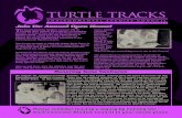 TURTLE TRACKS - Environmental Studies Councilescmc.org/wp-content/uploads/2016/10/Fall-2016-Turtle-Tracks.pdf · Volunteer Spotlight: Farah Daye Longtime volunteer Farah Daye was