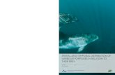 Spatial and temporal distribution of harbour porpoises in ... · This PhD thesis examines these issues. Harbour porpoise distribution is examined by means of satellite tracking (Paper