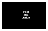 Foot and Anklesflanagan/KIN 337/04-05/Foot and Ankle 337.pdf · Interactive Foot and Ankle 2 C) 2001 Primal Pictures Ltd Interactive Foot and Ankle 2 C) 2001 Primal Pictures Ltd .