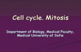 Cell cycle. Mitosis - deos.mu-sofia.bgdeos.mu-sofia.bg/remote_edu_prep/prep_biology_en_nikolova/17_Cel… · Cell cycle. Mitosis Department of Biology, Medical Faculty, Medical University