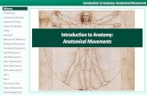 Welcome Anatomical Directions Anatomical Planes Flexion ...clinicalanatomy.ca/labs/411movements.pdf · Welcome Introduction Flexion & Extension Flexion Extension Abduction & Adduction