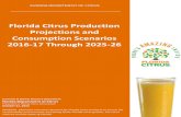 Florida Citrus Production Projections and Consumption ... · juice. The analysis did not include alternative consumption scenarios for grapefruit. Yield Assumptions The production