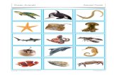 Ocean Animals W1 · Ocean Animals Riddle Cards 1A Copyright © PlanBee Resources Ltd 2016