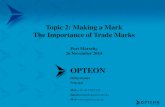 OPTEON - WIPO · Trade mark registration checklist 1. Check that trademark will meet legal requirements (not a generic term, descriptive term, deceptive trade mark etc) 2. Undertake
