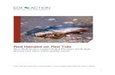 Red Handed on Red Tide - Environmental Defense Action Fund€¦ · Red Handed on Red Tide How Rick Scott’s neglect fueled Florida’s 2018 algal blooms and other water quality issues