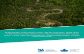 FROM HYDRAULIC FRACTURING CONFLICTS TO INNOVATION ...cwn-rce.ca/wp-content/uploads/2018/08/CWN-EN-Moore... · a case study of water governance in northeastern british columbia Michele-Lee
