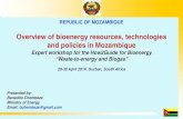 Overview of bioenergy resources, technologies and policies in Mozambique · REPUBLIC OF MOZAMBIQUE Overview of bioenergy resources, technologies and policies in Mozambique Expert