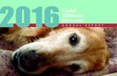 Gold Ribbon Rescue · A Golden Retriever rescue groups across the United States continued to support international rescue initiatives of Goldens worldwide. One of our reasons for
