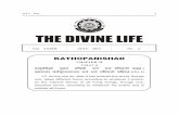 THE DIVINE LIFE - pure mind expressive of modesty, discrimination and tenderness, who is purified with