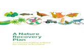 A Nature Recovery Plan · Why we need a Nature Recovery Plan Nature’s importance has become increasingly clear for many people. The necessary response to the Covid-19 pandemic has