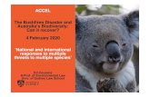ACCEL The Bushfires Disaster and Australia’s Biodiversity ...€¦ · 1. Parties hereby establish the global goal on adaptation of enhancing adaptive capacity, strengthening resilience
