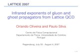 Infrared exponents of gluon and ghost propagators from ... · Gluon and ghost propagators 0 0.2 0.4 0.6 0.8 1 1.2 1.4 q (GeV) 0 50 100 83 x 256 103 x 256 123 x 256 143 x 256 163 x