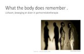 What the body does remember - GGZ Congres2016.ggzcongres.be/media/docs/ggzcongres/2016/... · mieke faes - interactie-academie- 2015 •Ervaringsgerichte gezinstherapeuten van het